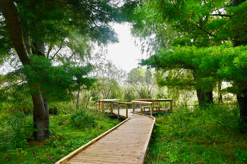 Arcadia Marsh Nature Trail